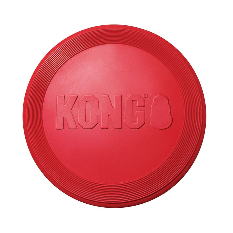 KONG Flyer
