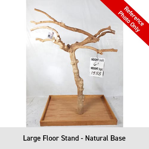 King's Cages Enrichment Java Wood Floor Stand S/M/L - Order
