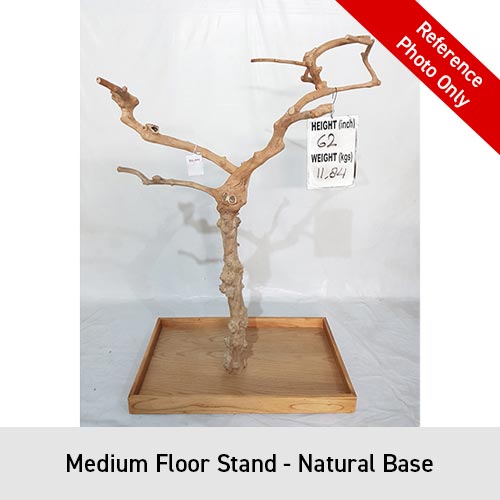 King's Cages Enrichment Java Wood Floor Stand S/M/L - Order
