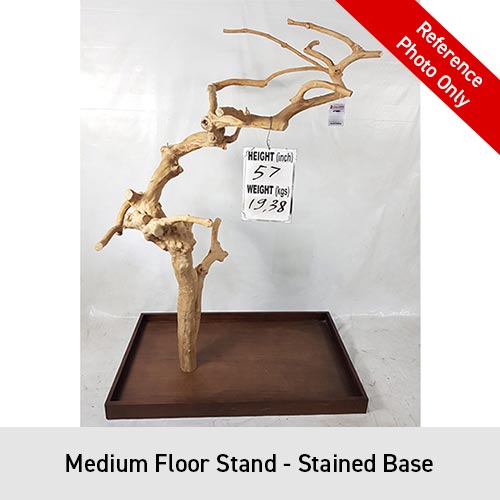 King's Cages Enrichment Java Wood Floor Stand S/M/L - Order
