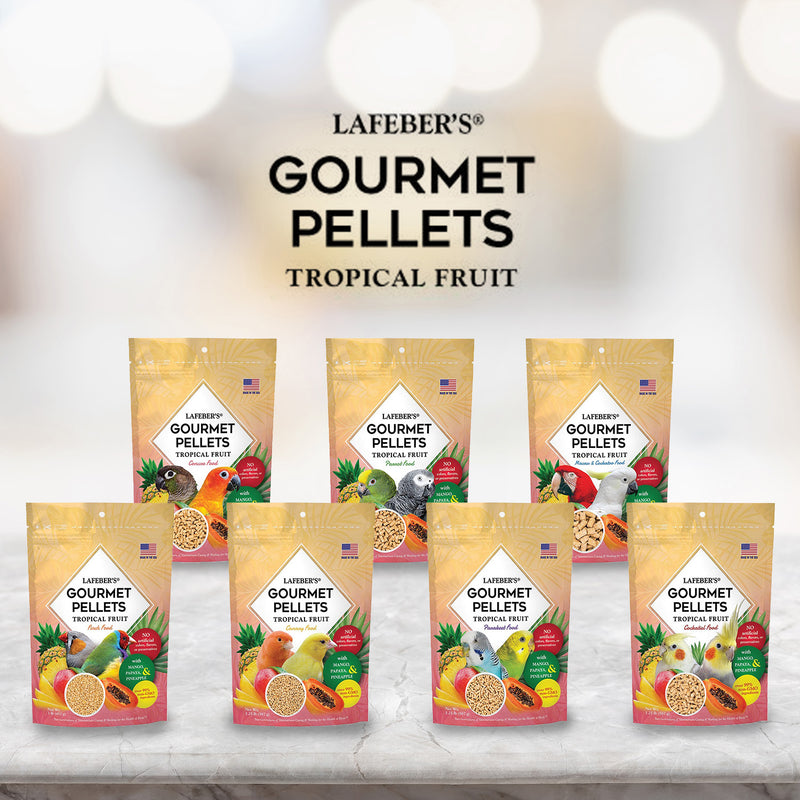 Lafeber's Tropical Fruit Gourmet Amazon/Parrot Pellet
