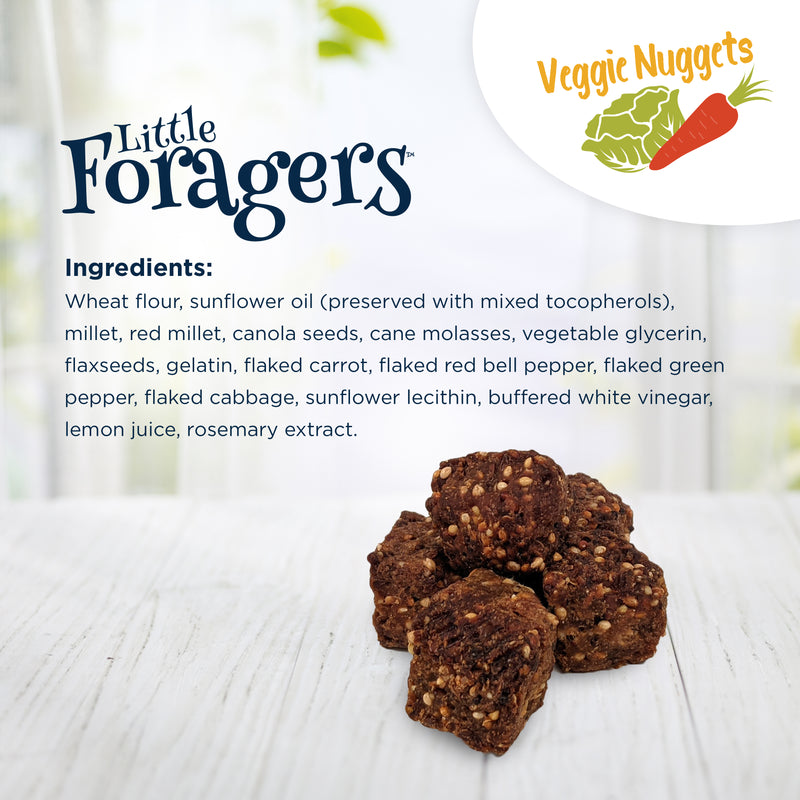 Little Foragers Treats Veggie Nuggets - Parrot
