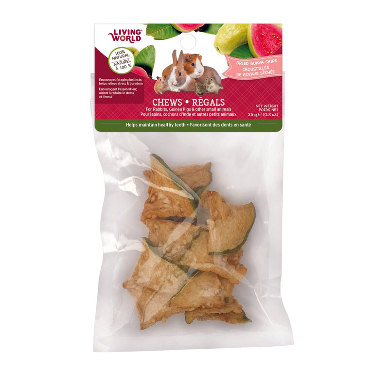 Living World Dried Guava Chips Small Pet Chews - 61110
