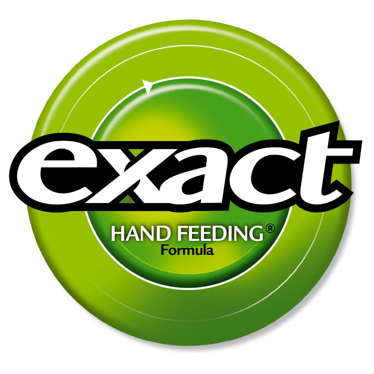 Kaytee Exact Hand-Feeding Formula for Baby Birds - Exotic Wings and Pet Things
