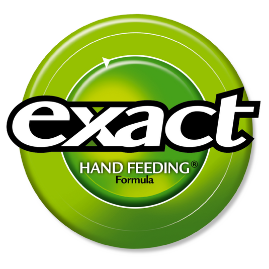 Kaytee Exact Hand-Feeding Formula for Baby Birds - Exotic Wings and Pet Things