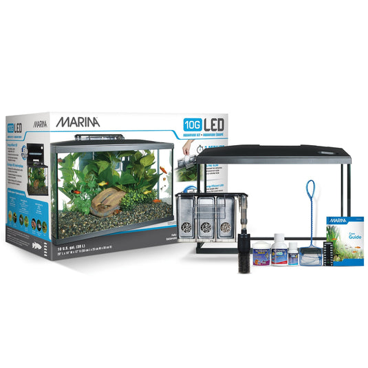 Marina LED Glass Aquarium Kit (5,10,20 gal) | Store Pickup Only