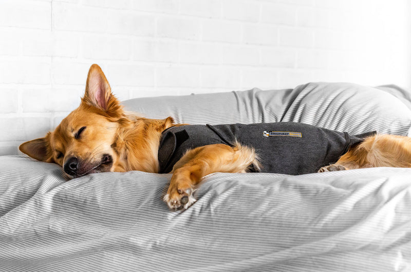 ThunderWorks ThunderShirt Sport Anxiety Jacket for Dogs
