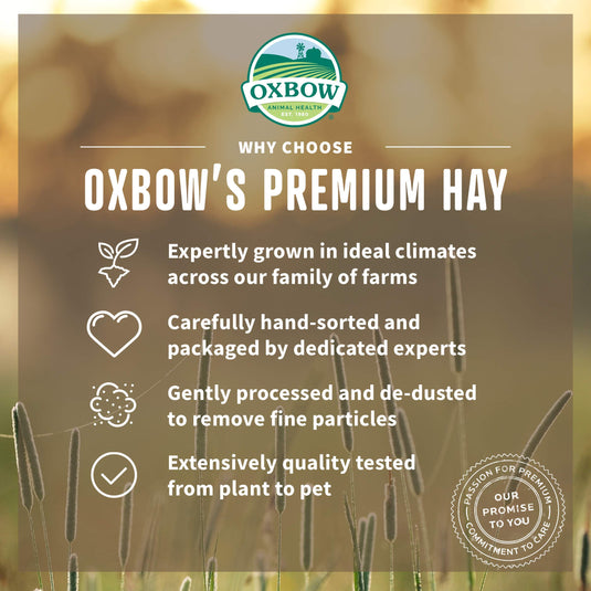 Oxbow Botanical Hay