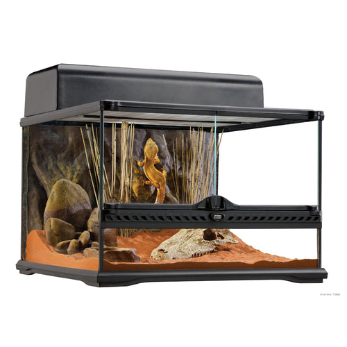 Exo Terra Reptile Natural Reptile Terrarium - Advanced Reptile Habitat - Low