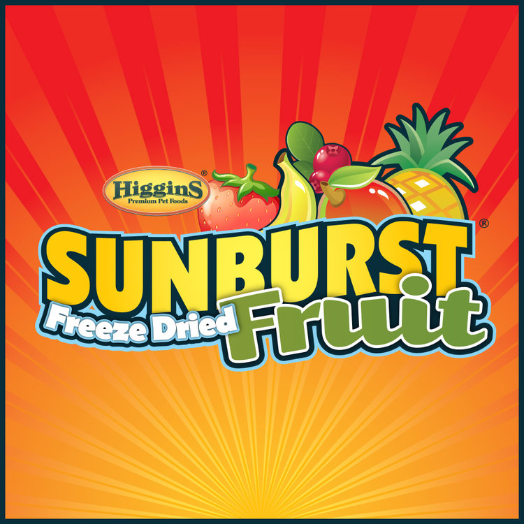 Higgins Sunburst Treats True Fruits - Exotic Wings and Pet Things
