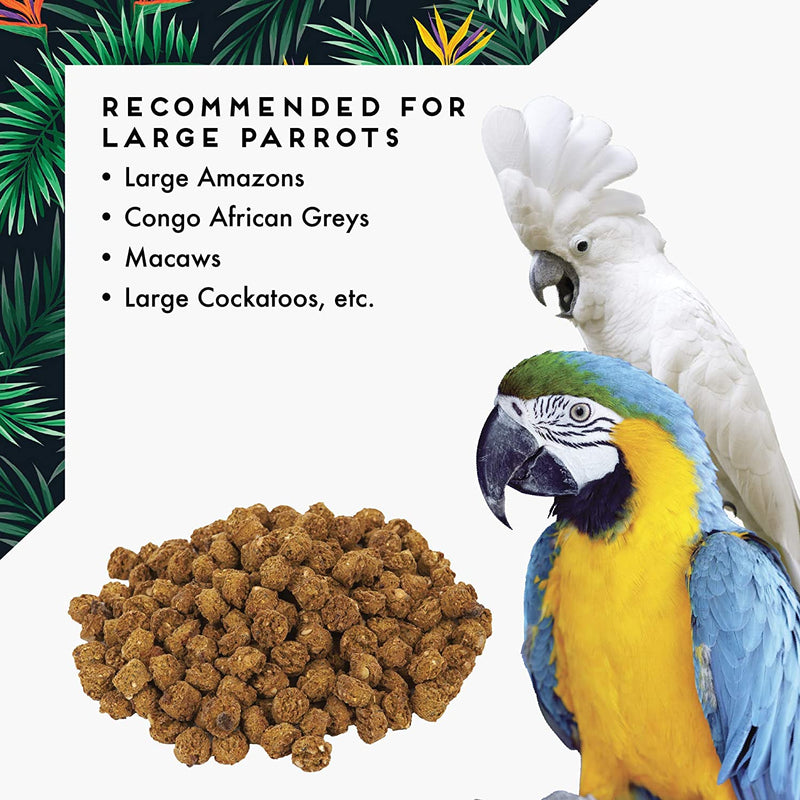 #Size_Large Parrots 42 oz (1.19 kg)
