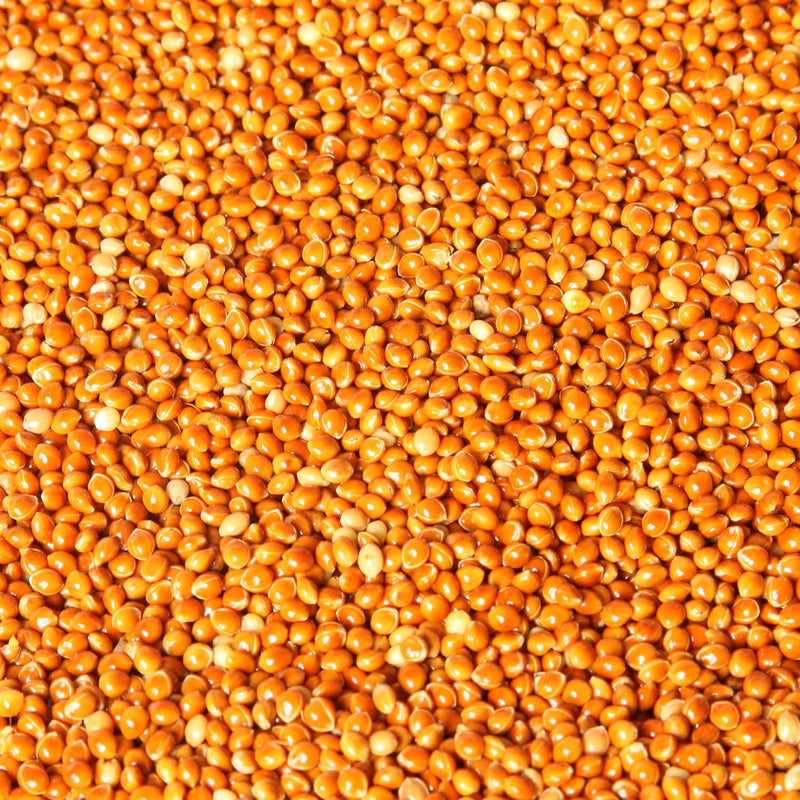 Red Proso Millet Seed
