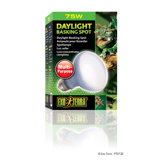 Exo Terra Reptile Daylight Basking Spot Lamp