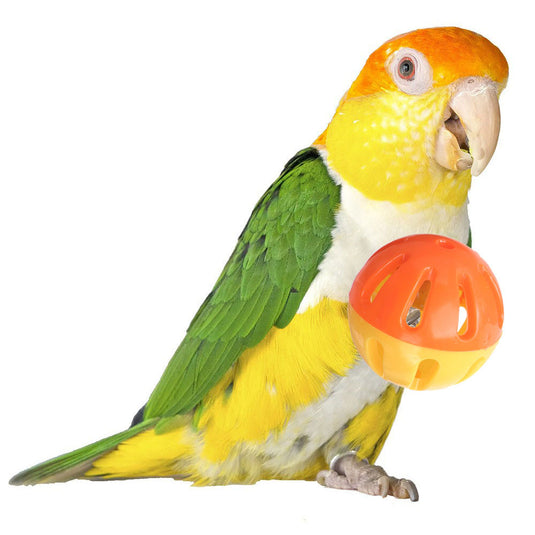 Plastic Ball/Bell - Bird/Small Pet Foot Toy