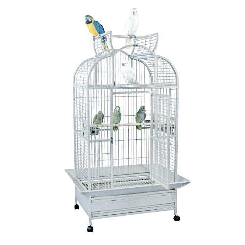 King's Cages Medium Superior Line Tall Cage - SLT3223
