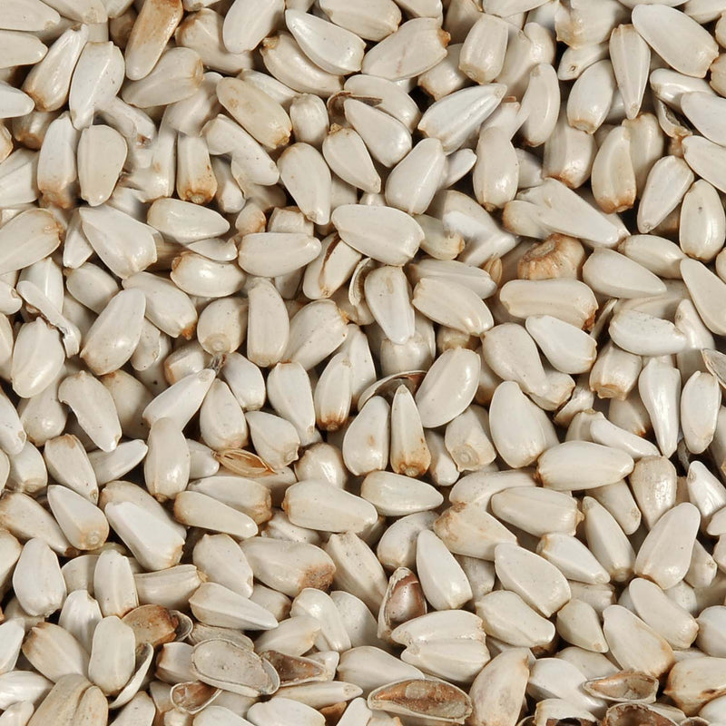 Safflower Seed
