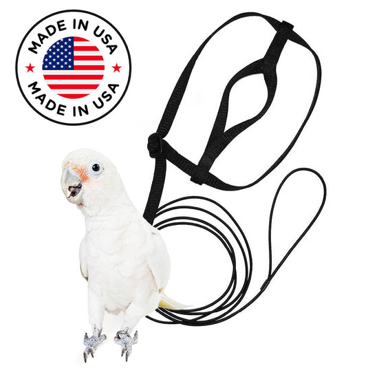 The Aviator Harness Small (Amazon / Timneh Grey / Small Cockatoo / Pionus)