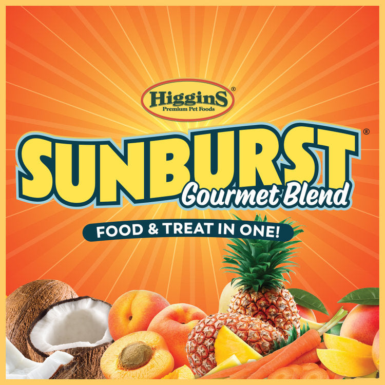 Higgins Sunburst Gourmet Blend Macaw Seed Mix
