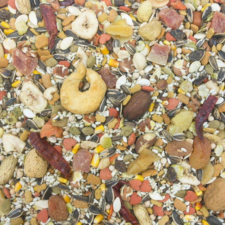 Higgins Sunburst Gourmet Blend Macaw Seed Mix
