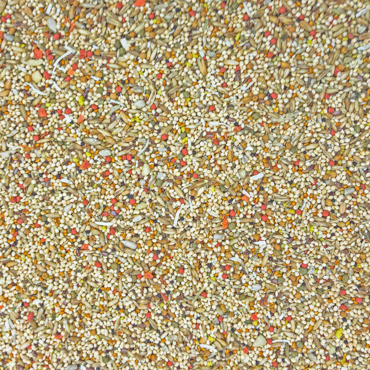 Higgins Sunburst Gourmet Blend Parakeet Seed Mix - Exotic Wings and Pet Things
