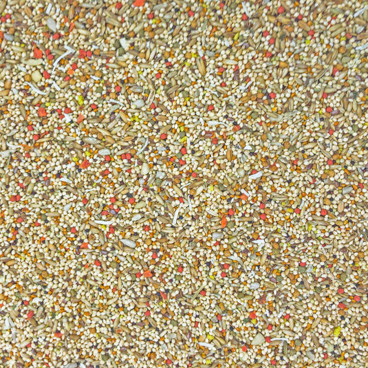 Higgins Sunburst Gourmet Blend Parakeet Seed Mix - Exotic Wings and Pet Things