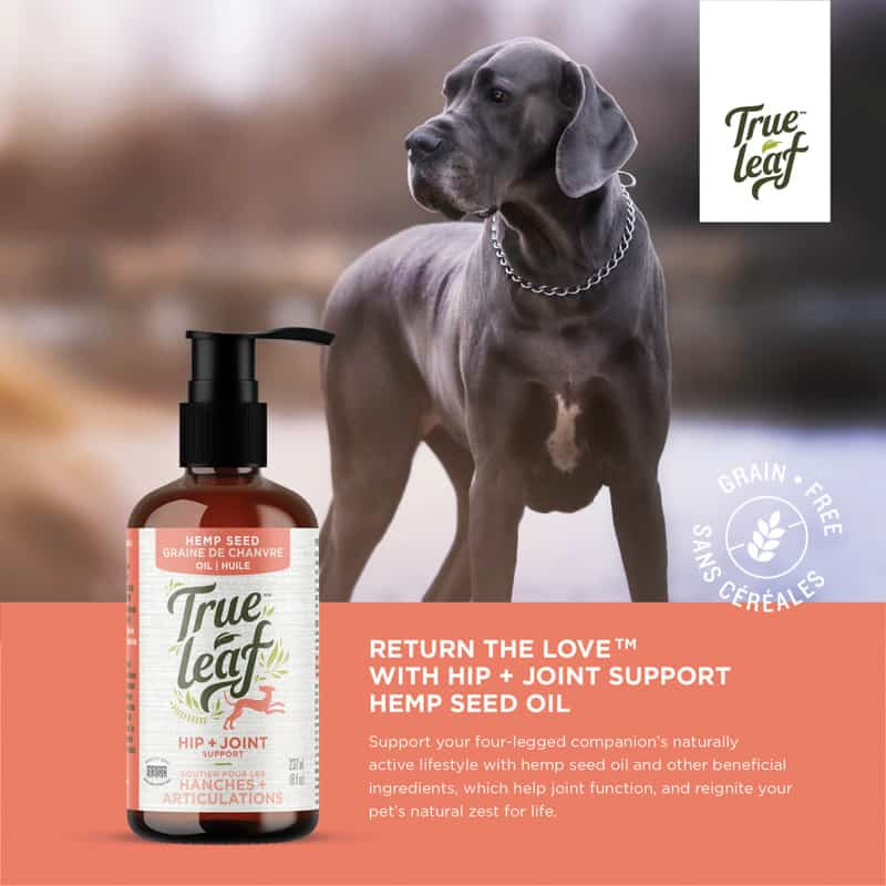 True Leaf Hip & Joint Hemp Seed Oil
