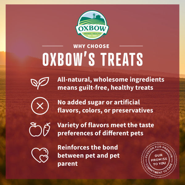 Oxbow Simple Rewards Baked Treat Cranberry
