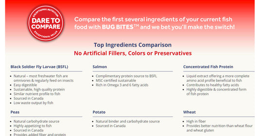 Bug Bites Bottom Feeder Formula Granules/Sticks