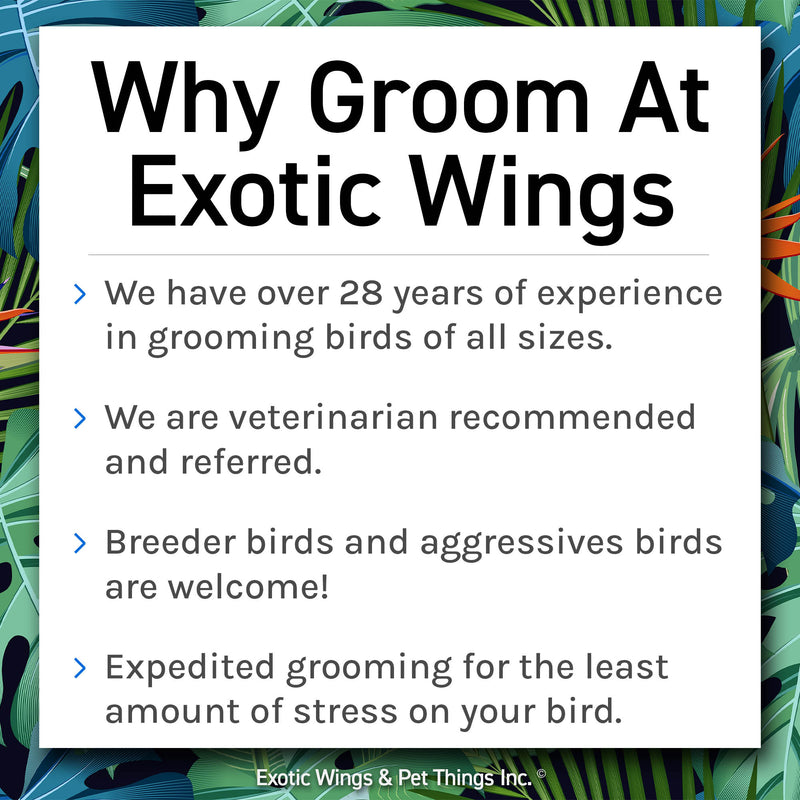 Bird Grooming Appointments
