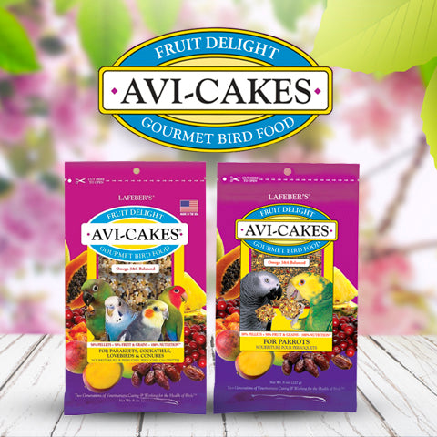 Lafeber's Fruit Delight Avi-Cakes Parrot
