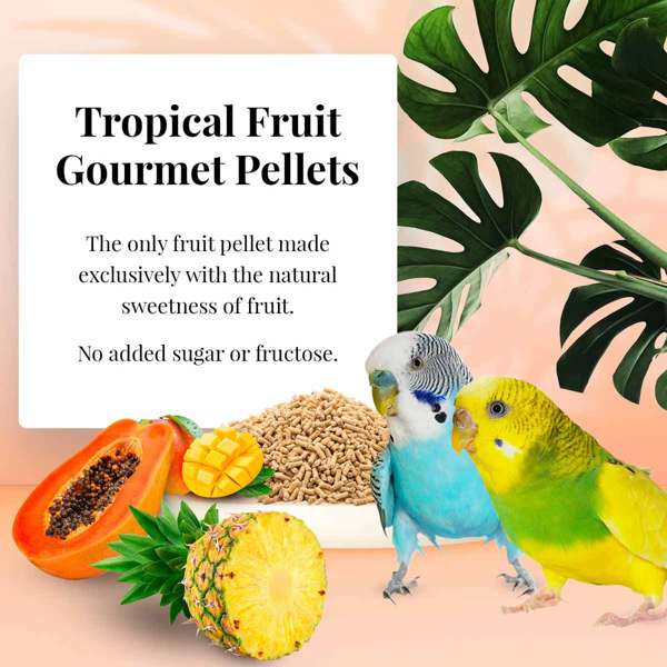 Lafeber's Tropical Fruit Gourmet Budgie/Parakeet Pellet
