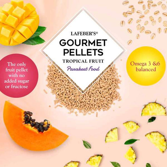 Lafeber's Tropical Fruit Gourmet Budgie/Parakeet Pellet EXP 9/2024