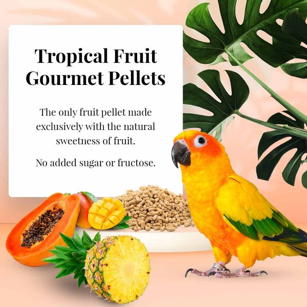 Lafeber's Tropical Fruit Gourmet Conure Pellet
