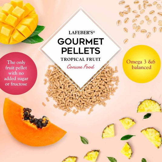 Lafeber's Tropical Fruit Gourmet Conure Pellet