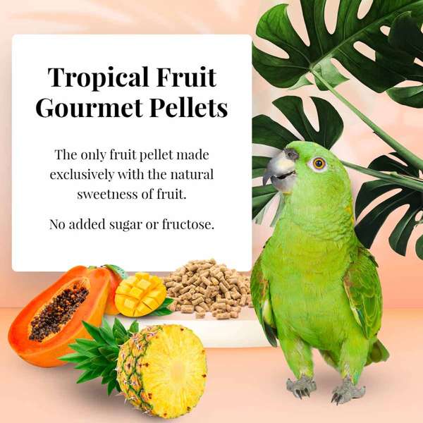 Lafeber's Tropical Fruit Gourmet Amazon/Parrot Pellet
