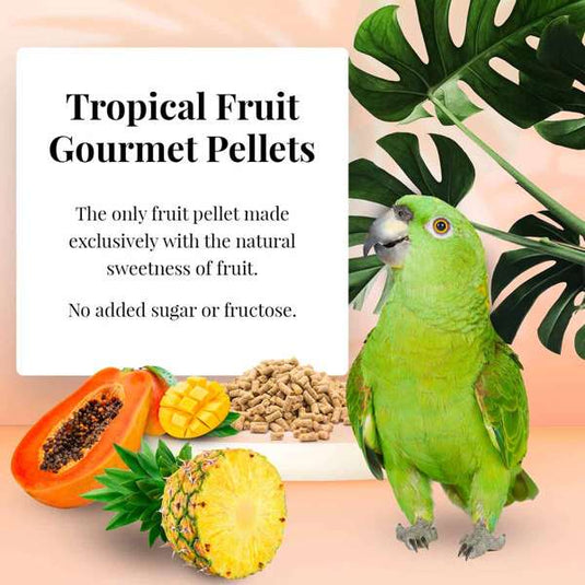 Lafeber's Tropical Fruit Gourmet Amazon/Parrot Pellet