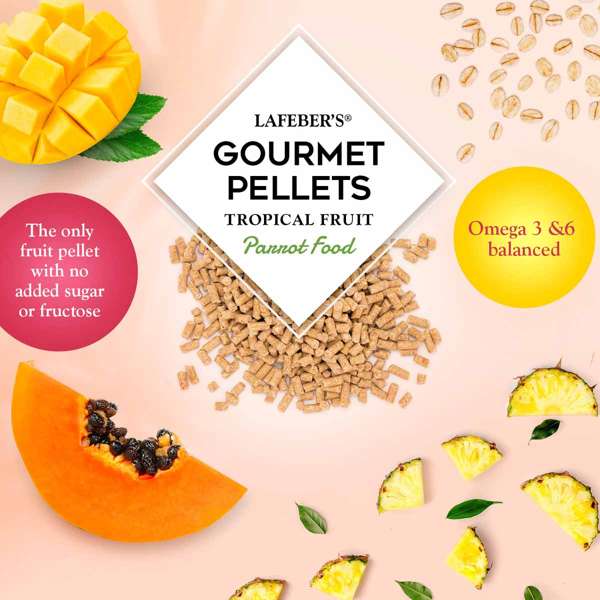 Lafeber's Tropical Fruit Gourmet Amazon/Parrot Pellet
