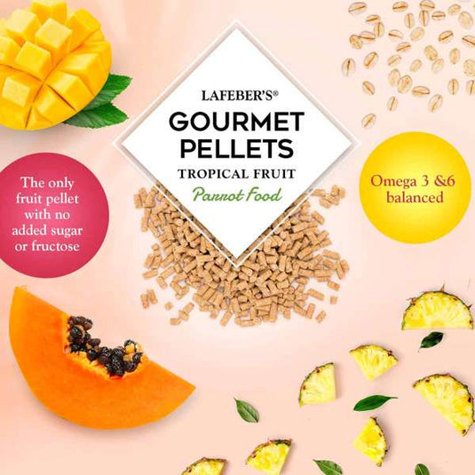 Lafeber's Tropical Fruit Gourmet Amazon/Parrot Pellet