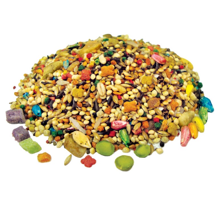 Brown's Tropical Carnival Parakeet Food 2 lbs
