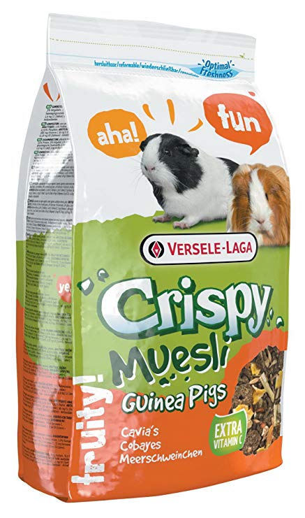 Versele-Laga Crispy Muesli Guinea Pig Food - Exotic Wings and Pet Things
