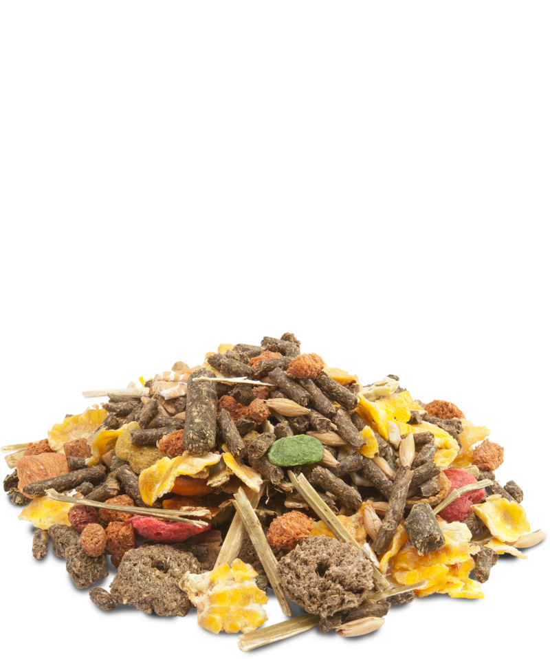 Versele-Laga Crispy Muesli Guinea Pig Food - Exotic Wings and Pet Things
