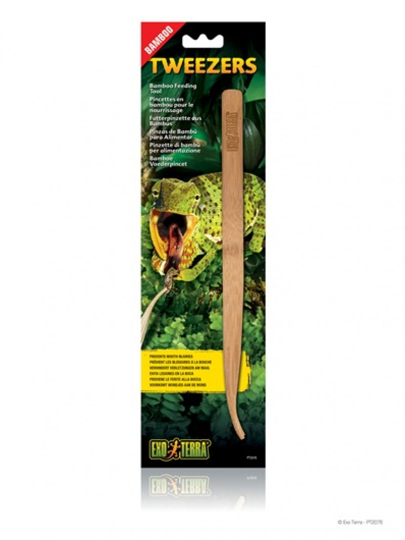 Exo Terra Bamboo Feeding Tweezers - Exotic Wings and Pet Things
