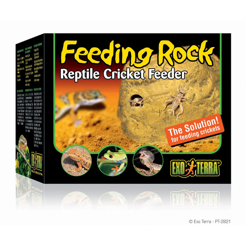 Exo Terra Reptile Feeding Rock Reptile Cricket Feeder
