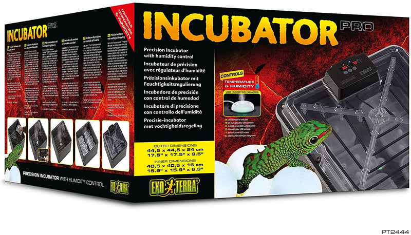 Exo Terra Reptile Incubator
