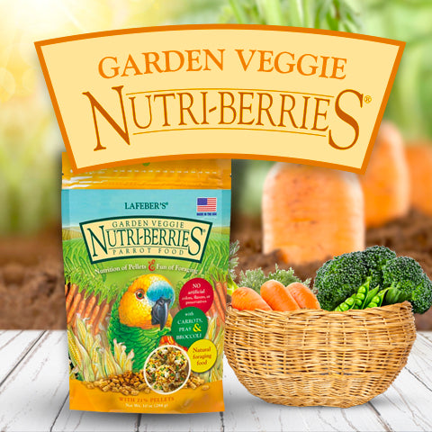 Lafeber's Garden Veggie Gourmet Nutri-Berries Parrot
