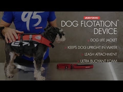 Load and play video in Gallery viewer, EzyDog Micro DFD Life Jacket
