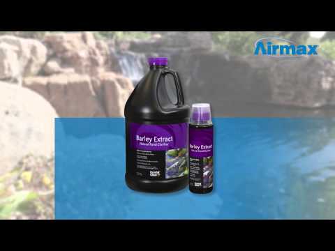 Load and play video in Gallery viewer, Crystal Clear Barley Extract Natural Pond Clarifier
