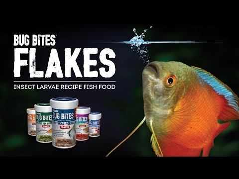 Load and play video in Gallery viewer, Bug Bites Betta Flakes - 18g (0.63 oz)
