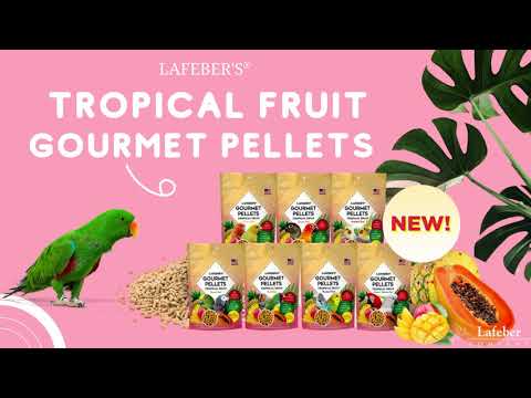 Load and play video in Gallery viewer, Lafeber&#39;s Tropical Fruit Gourmet Budgie/Parakeet Pellet EXP 9/2024
