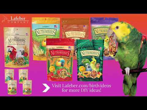 Load and play video in Gallery viewer, Lafeber&#39;s Tropical Fruit Gourmet Nutri-Berries Small Bird
